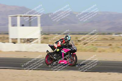 media/Oct-05-2024-Race Pace (Sat) [[aa7b44e117]]/3-Back Straight Pans (825am)/
